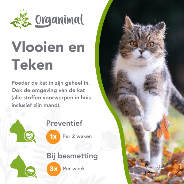 Organimal Vlooien en Teken - Katten - Afbeelding 2