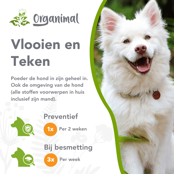Organimal Vlooien en Teken - Honden - Afbeelding 2