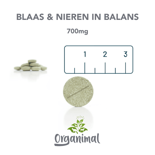 Blaas & Nieren In Balans - Honden - Afbeelding 3