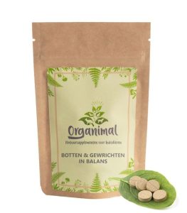 Botten & Gewrichten in Balans - Katten