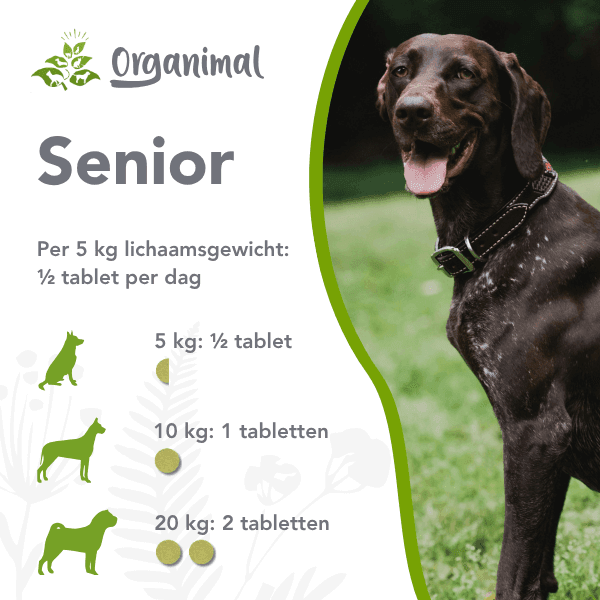 Organimal Senior - Honden - Afbeelding 2