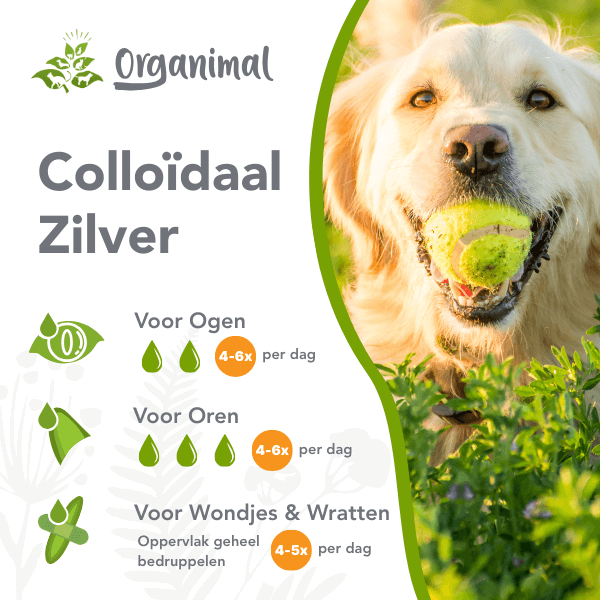 Organimal Colloïdaal Zilver - Honden - Afbeelding 2
