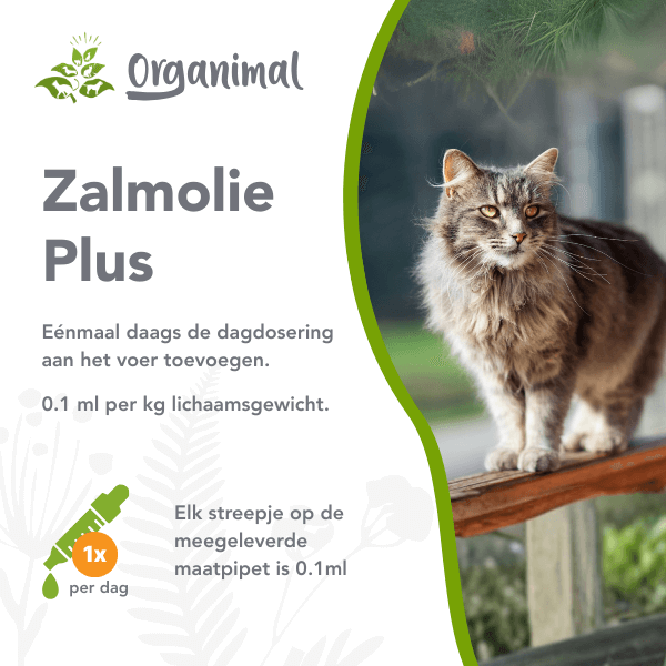 Organimal Zalmolie Plus - Katten - Afbeelding 2