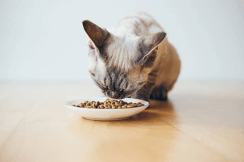 Graanvrij kattenvoer