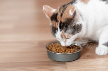 Omega 3 kat