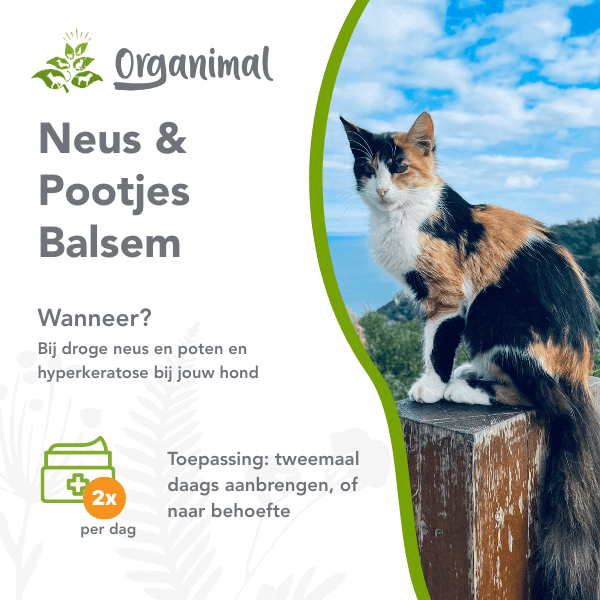 Neus & Pootjes Balsem - Katten - Afbeelding 2
