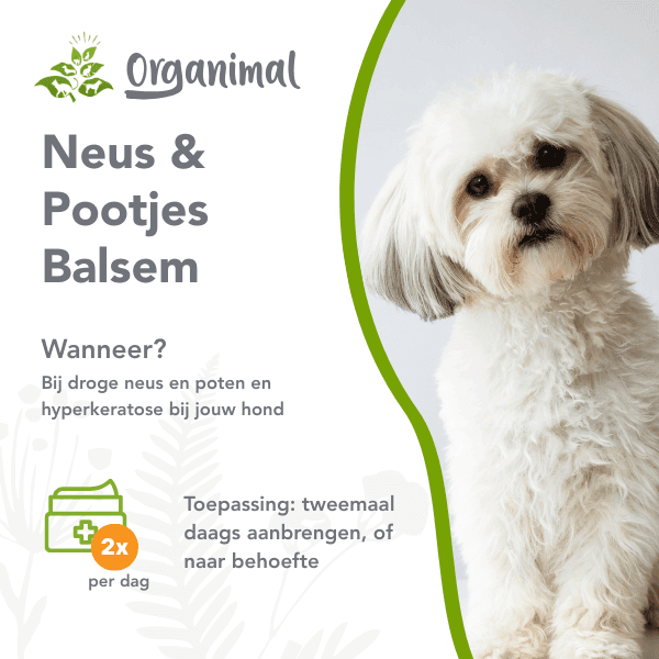 Neus & Pootjes Balsem - Afbeelding 2
