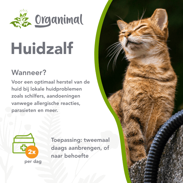 Huidzalf - Katten - Afbeelding 2