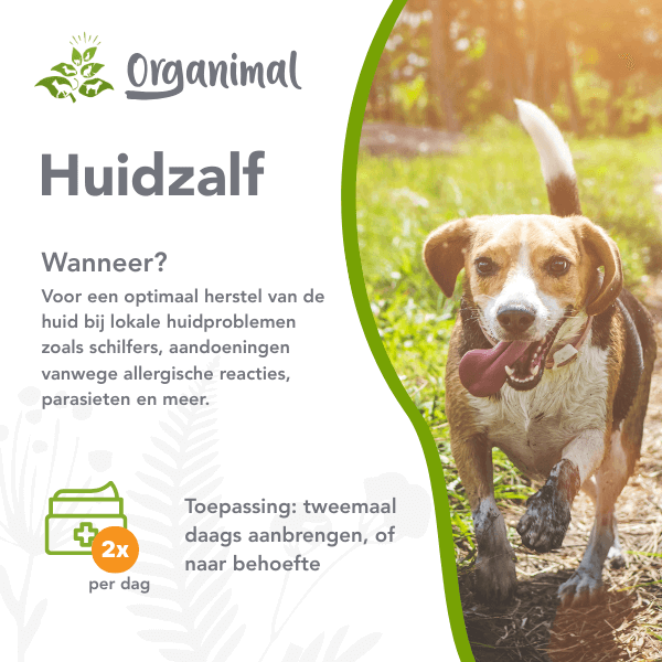 Huidzalf - Honden - Afbeelding 2