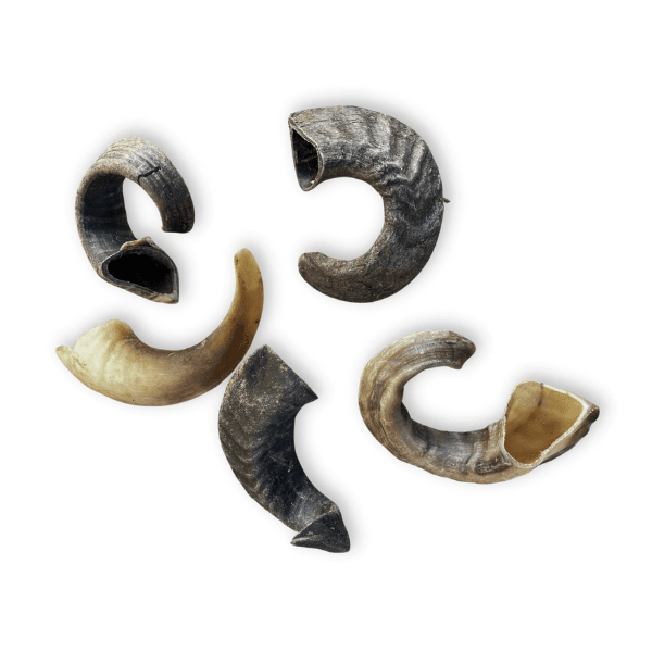 Organimal Ramshoorn